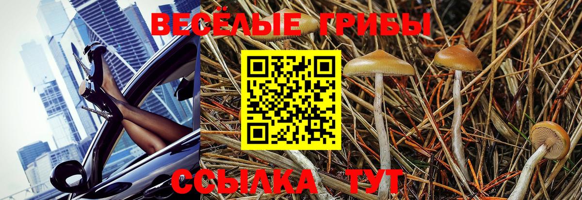 Галлюциногенные грибы MAGIC MUSHROOMS  Вход с VPN  Верхняя Пышма 