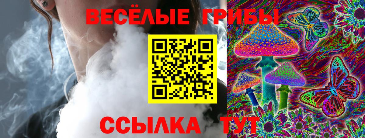 Псилоцибиновые грибы мицелий Верхняя Пышма